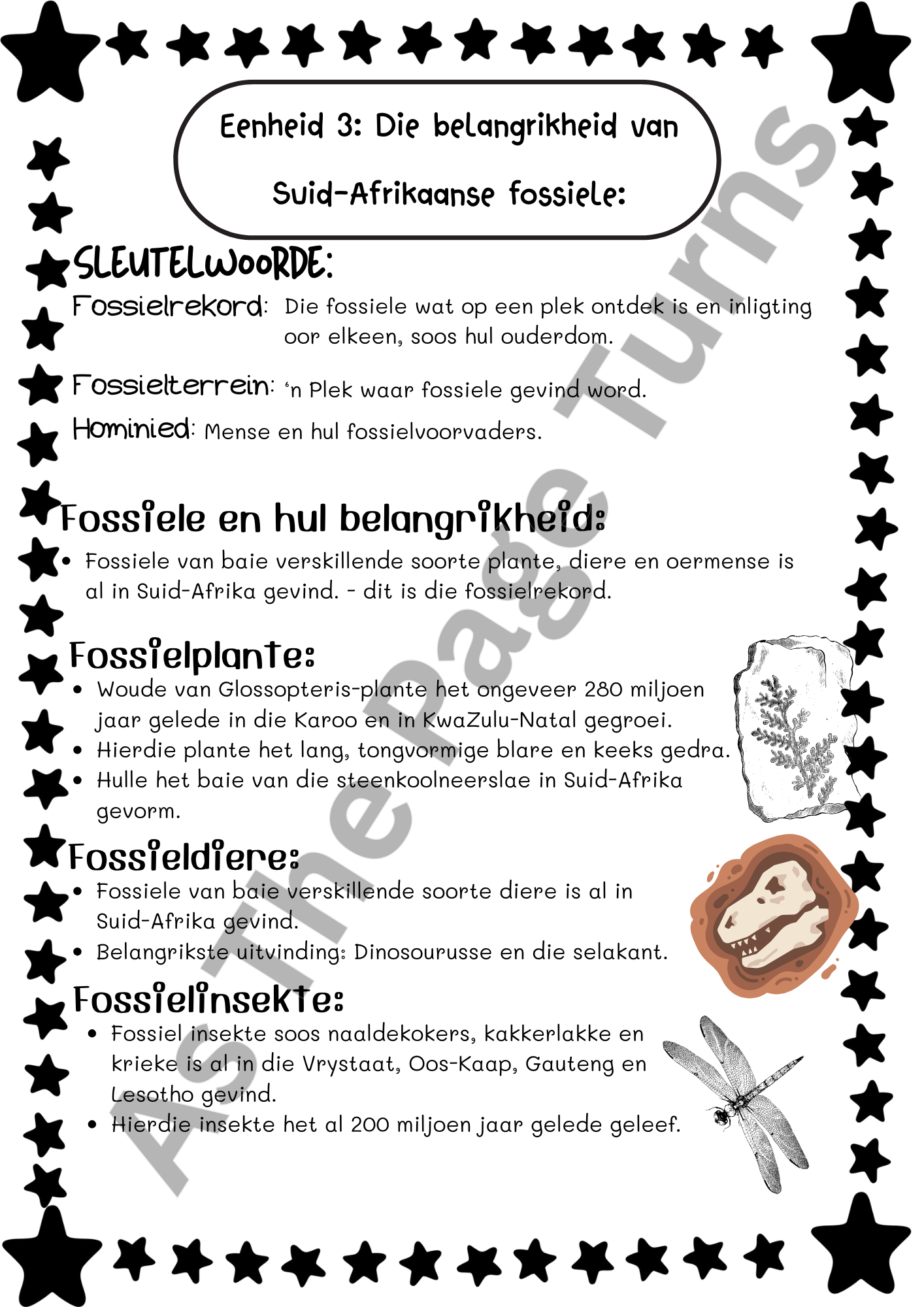 Graad 5 Natuurwetenskappe en Tegnologie Platinum Handboek Kwartaal 4